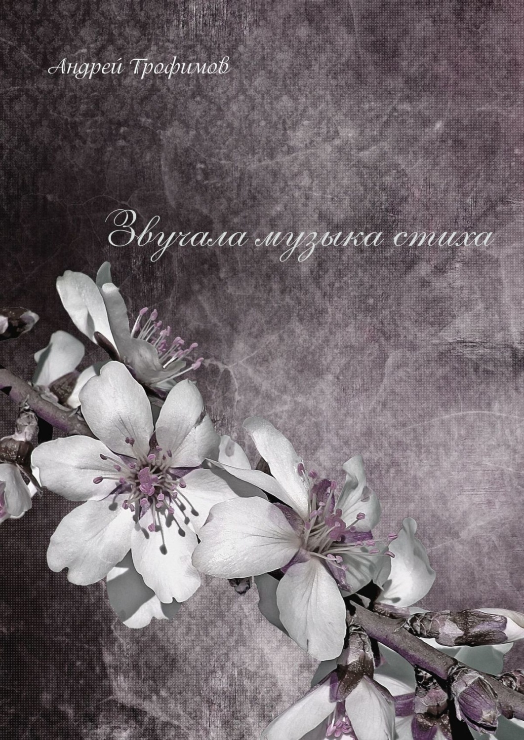 Обложка книги «Звучала музыка стиха»