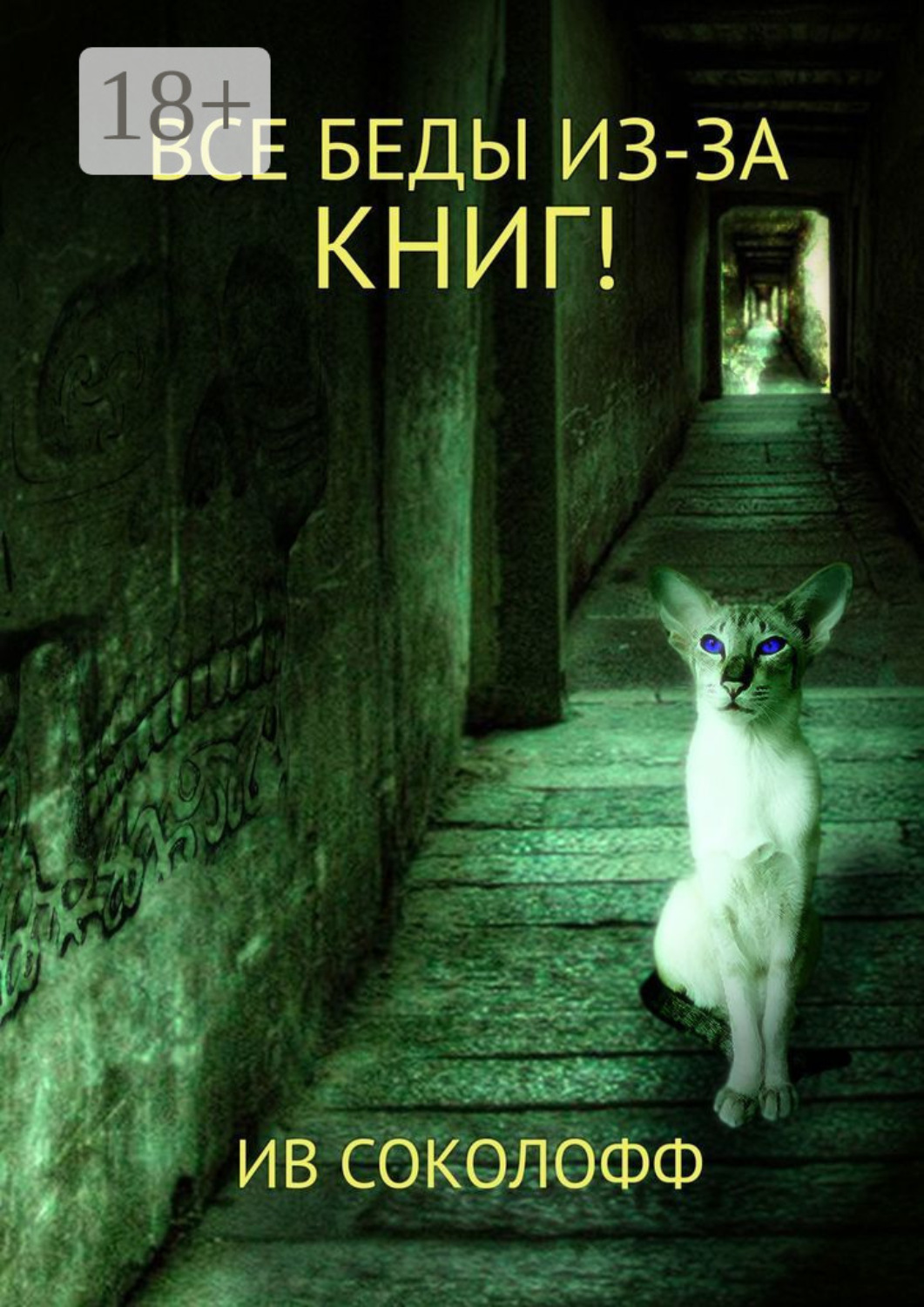 Обложка книги «Все беды из-за книг!»