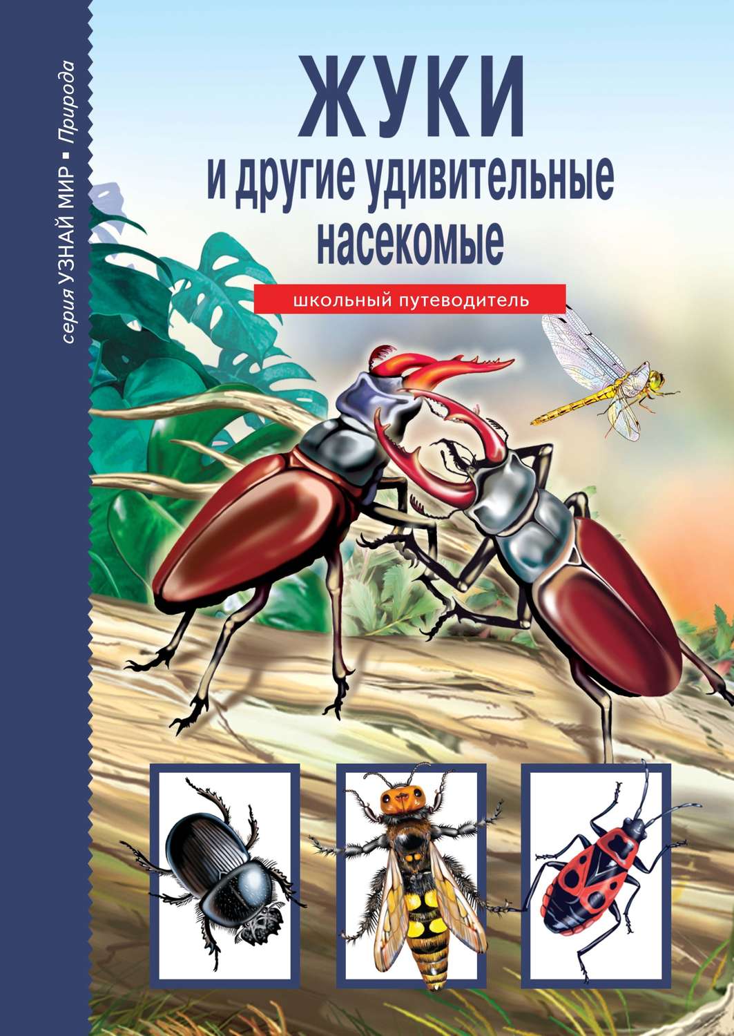 Обложка книги «Жуки и другие удивительные насекомые»