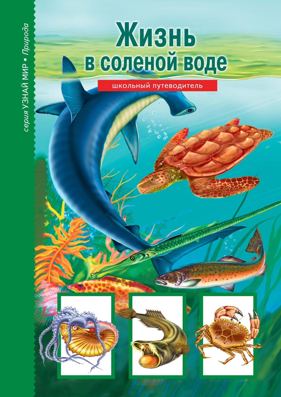 Обложка книги «Жизнь в соленой воде»