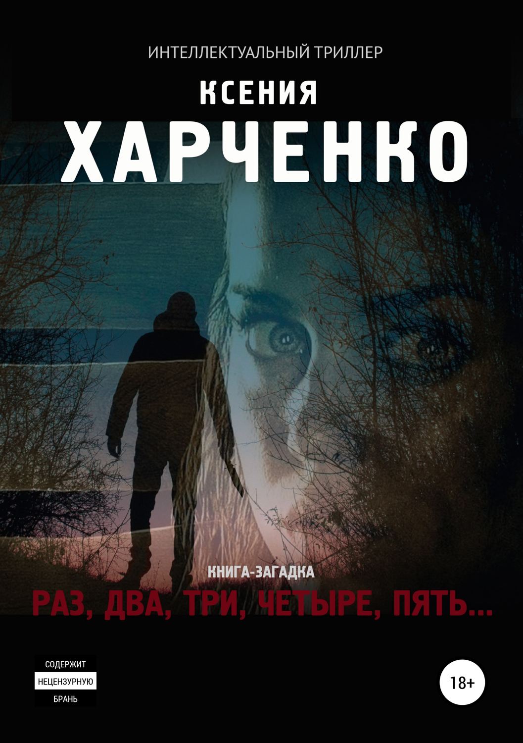 Обложка книги «Раз, два, три, четыре, пять…»