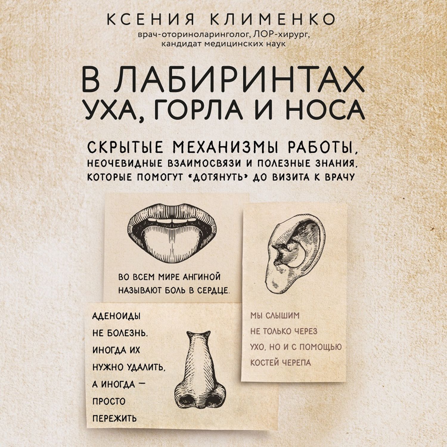 Обложка книги «В лабиринтах уха, горла и носа. Скрытые механизмы работы, неочевидные взаимосвязи и полезные знания, которые помогут «дотянуть» до визита к врачу»