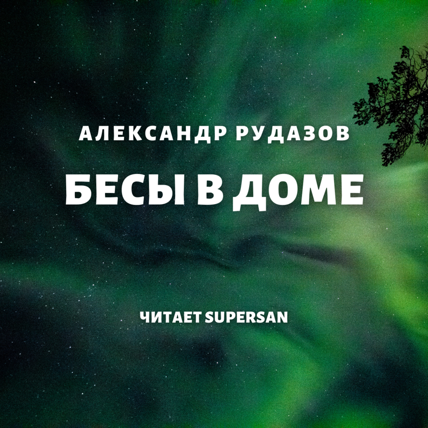 Обложка книги «Бесы в доме»
