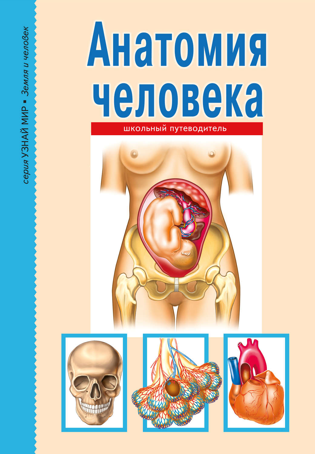 Обложка книги «Анатомия человека»