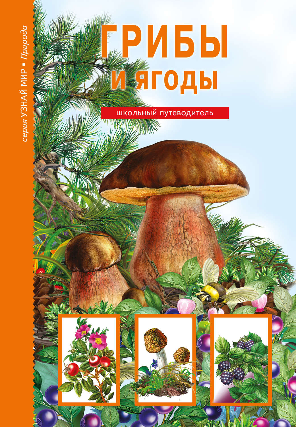 Обложка книги «Грибы и ягоды»