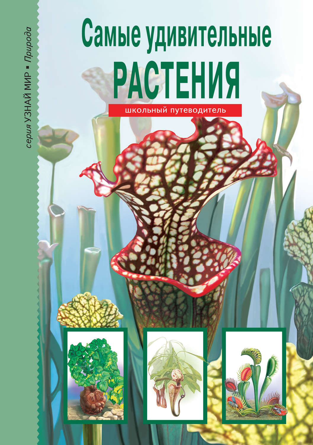 Обложка книги «Самые удивительные растения»