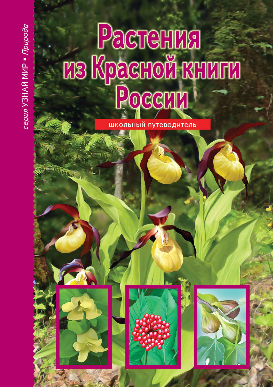 Обложка книги «Растения из Красной книги России»