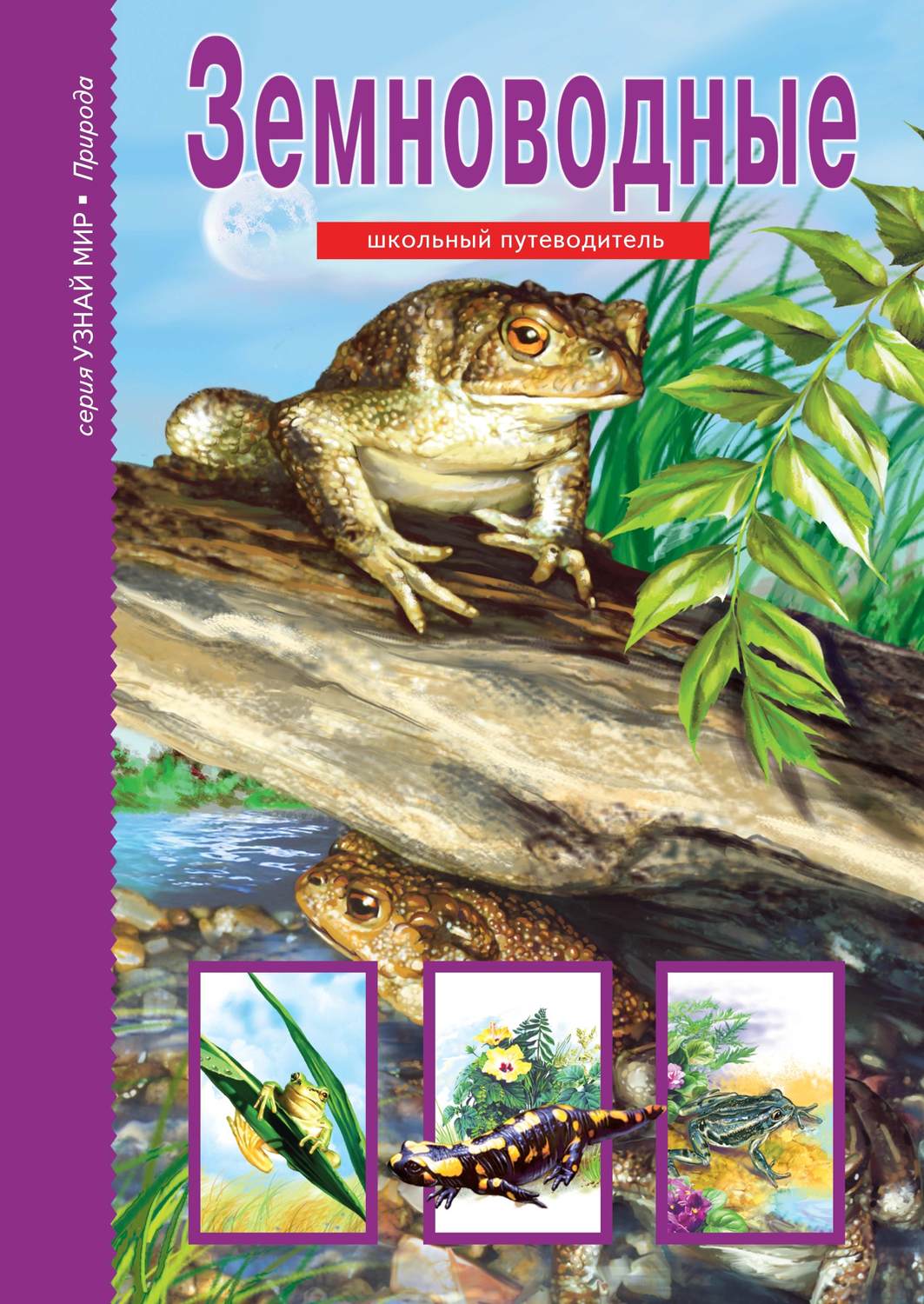 Обложка книги «Земноводные»