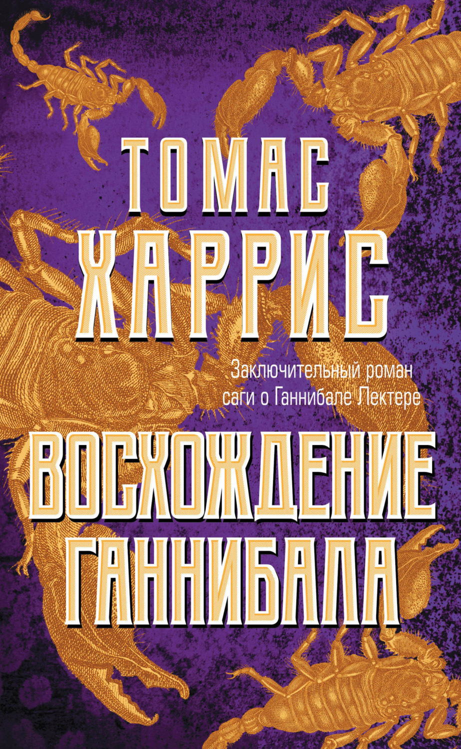 Обложка книги «Восхождение Ганнибала»