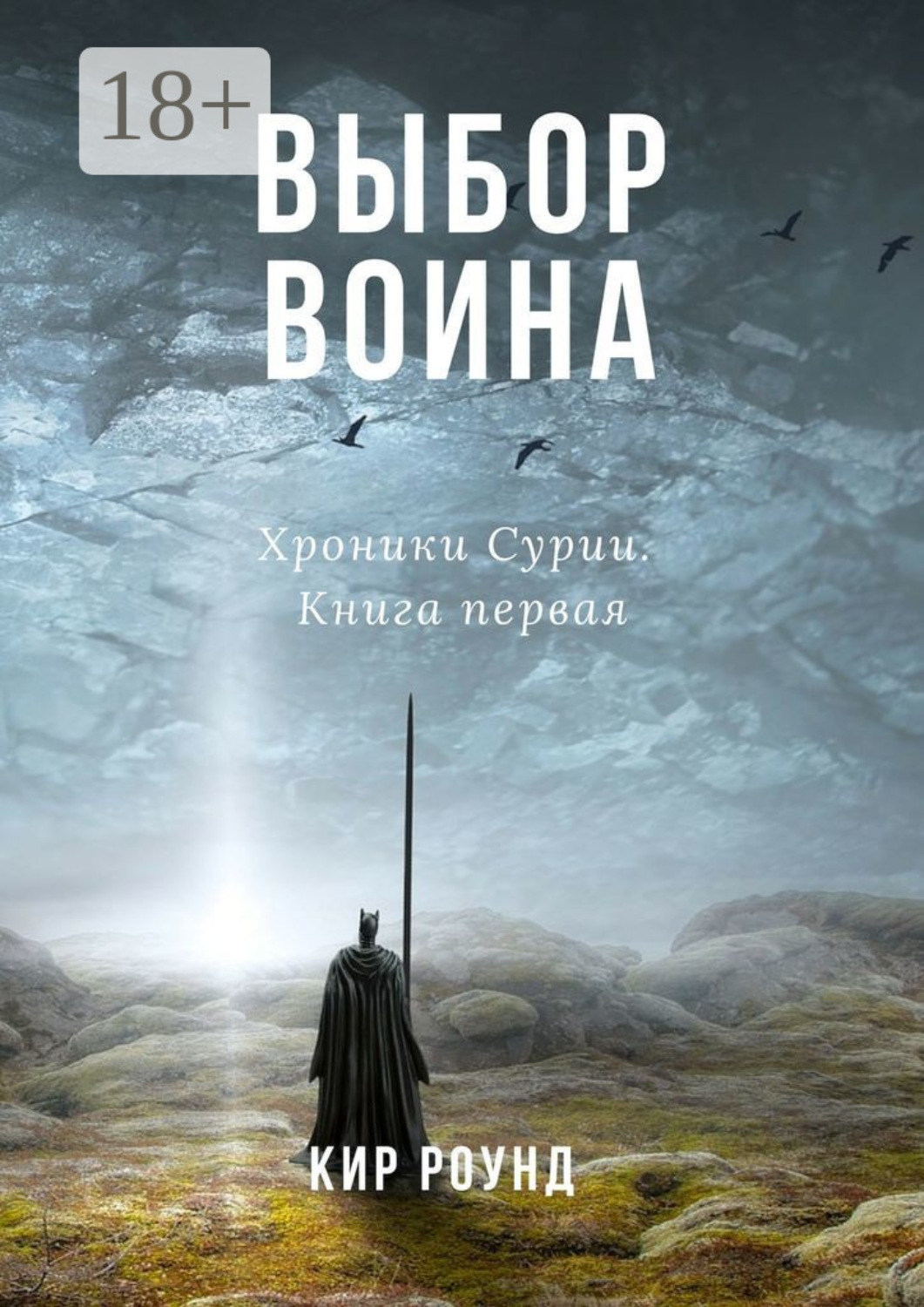 Обложка книги «Выбор воина. Хроники Сурии. Книга первая»