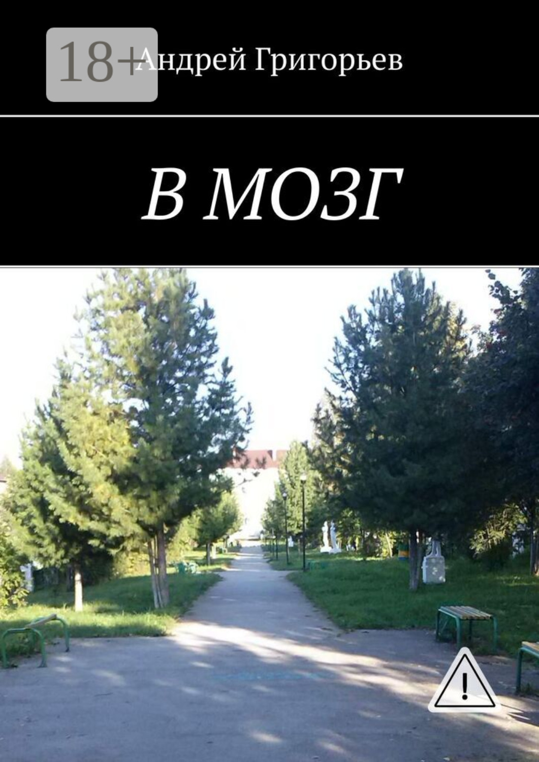 Обложка книги «В мозг»
