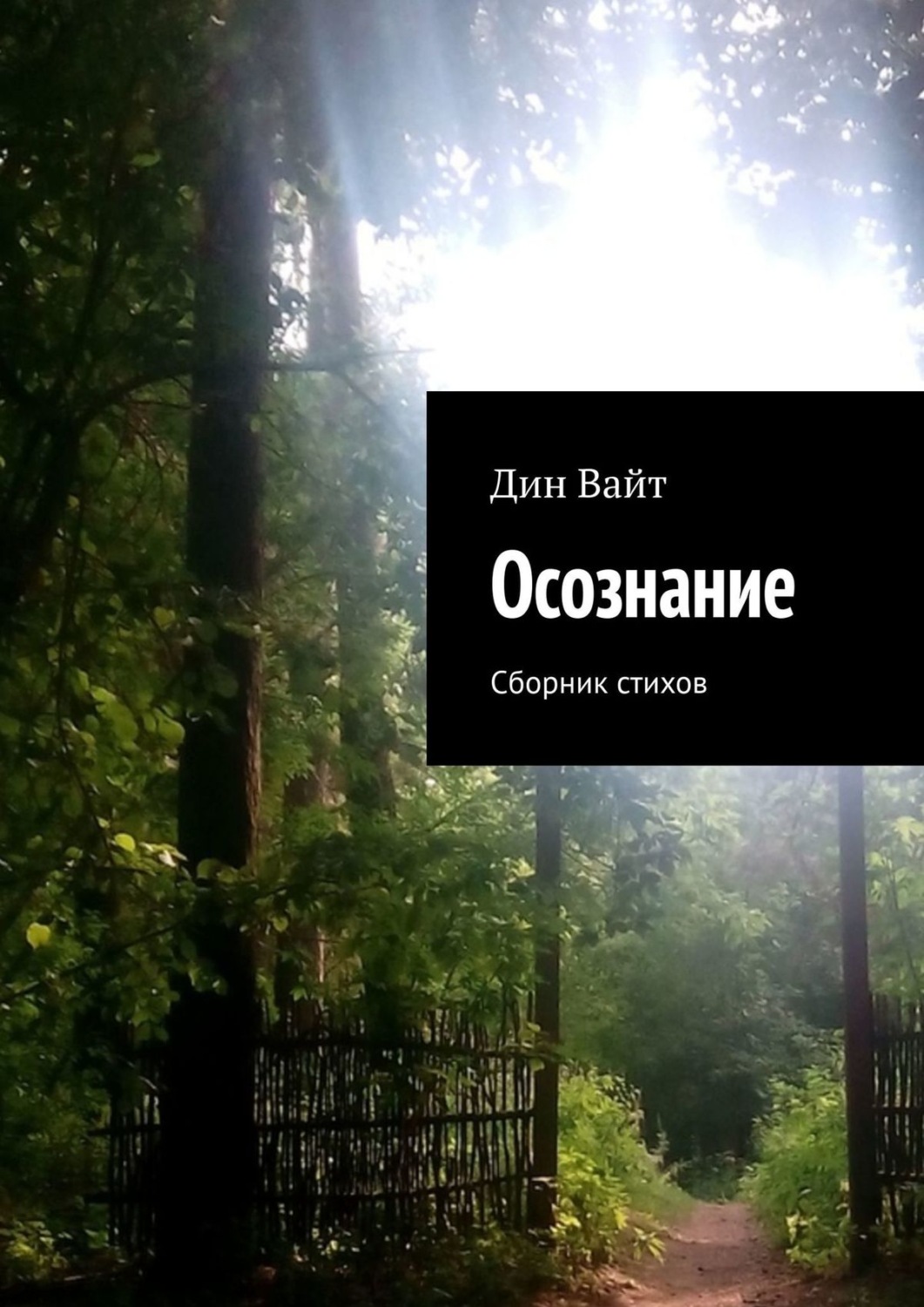 Обложка книги «Осознание. Cборник стихов»