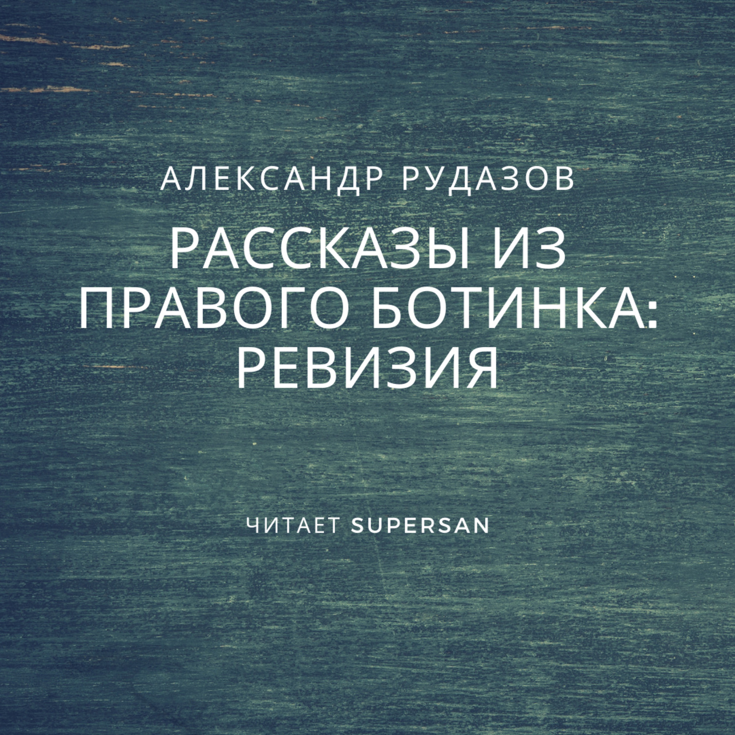Обложка книги «Ревизия»
