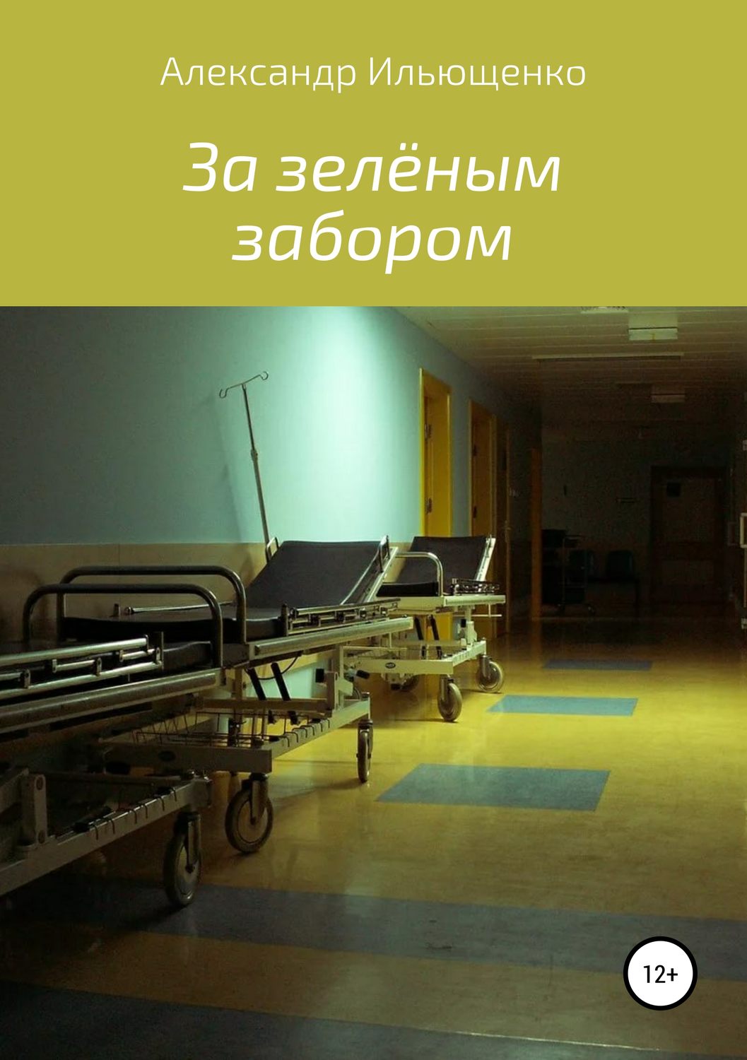 Обложка книги «За зелёным забором»