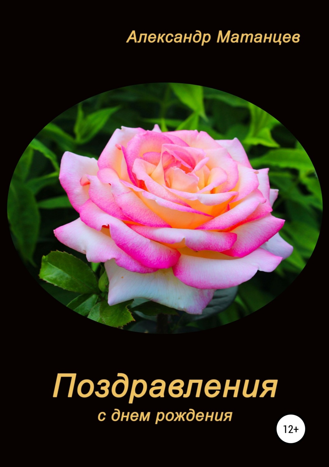 Обложка книги «Поздравления с днем рождения»