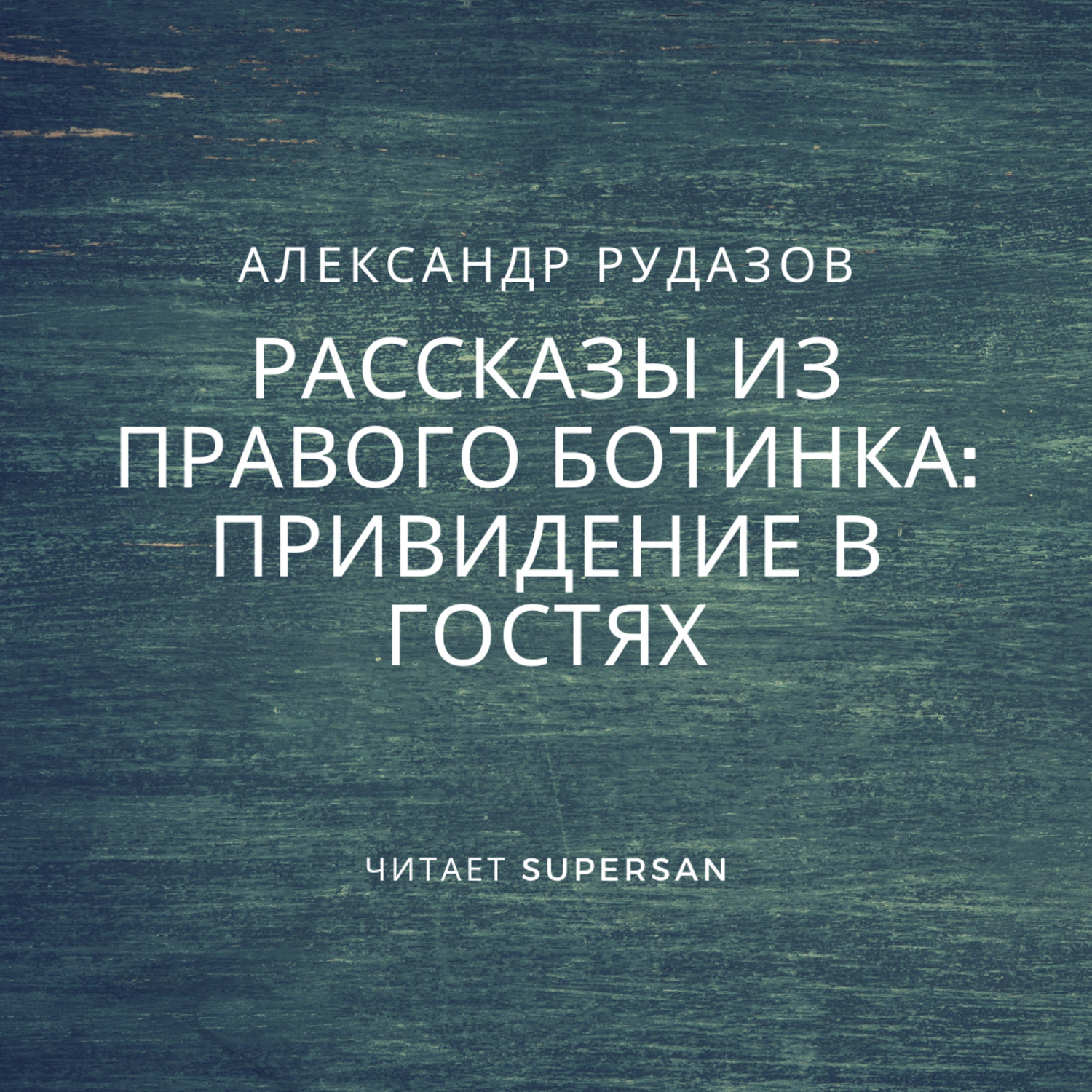 Обложка книги «Привидение в гостях»