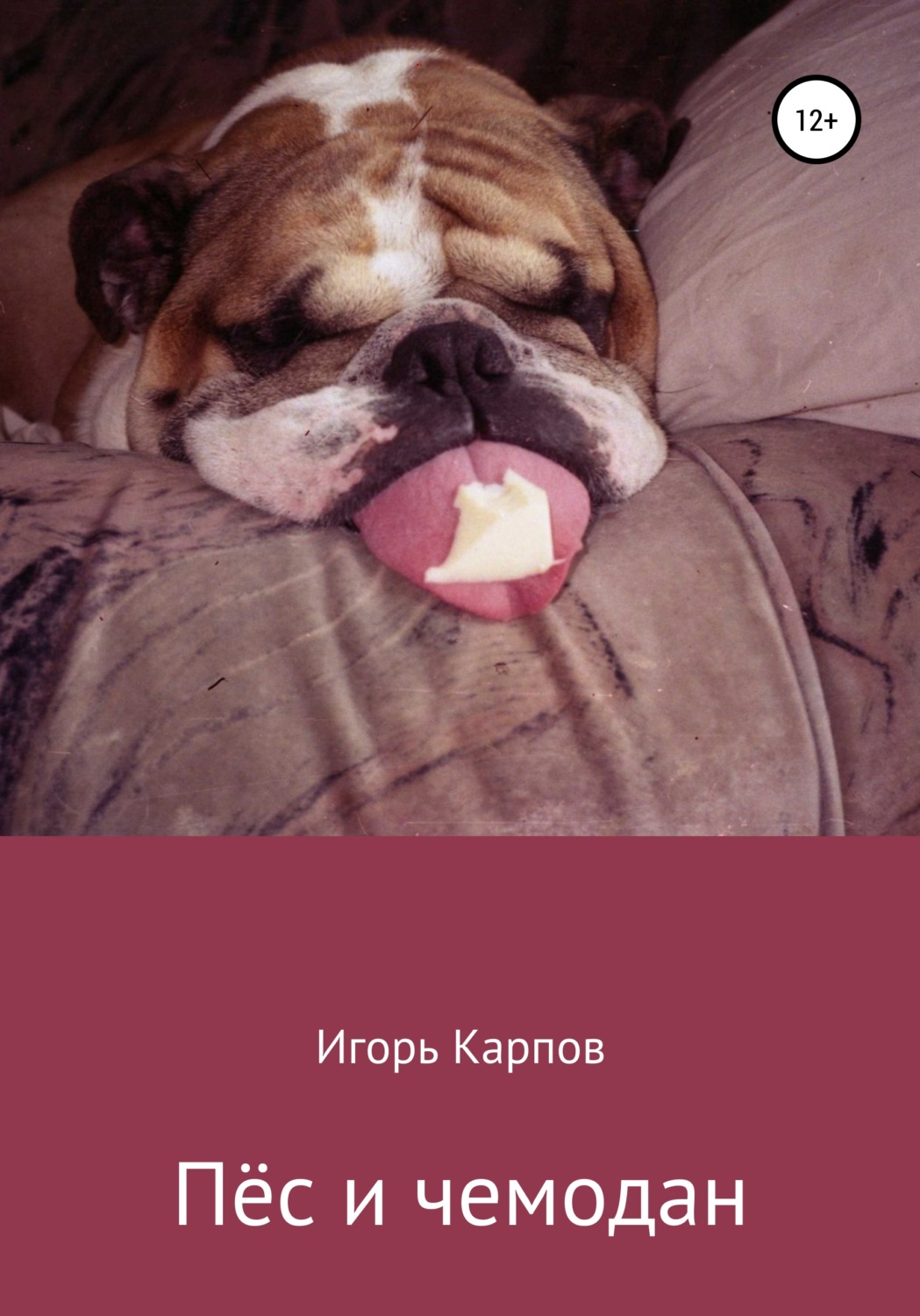 Обложка книги «Пёс и чемодан»