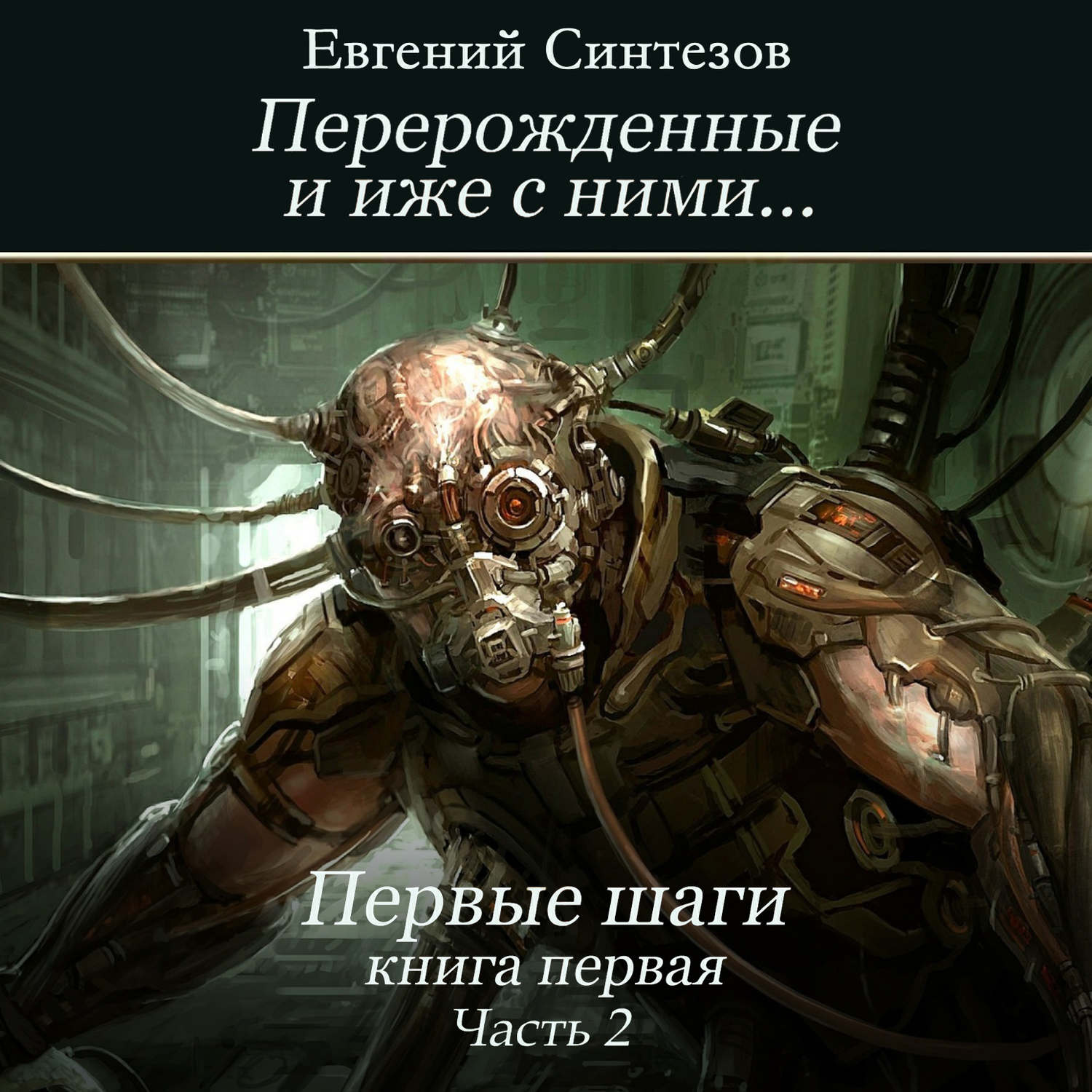Обложка книги «Перерожденные и иже с ними… Первые шаги. Книга первая. Часть вторая»