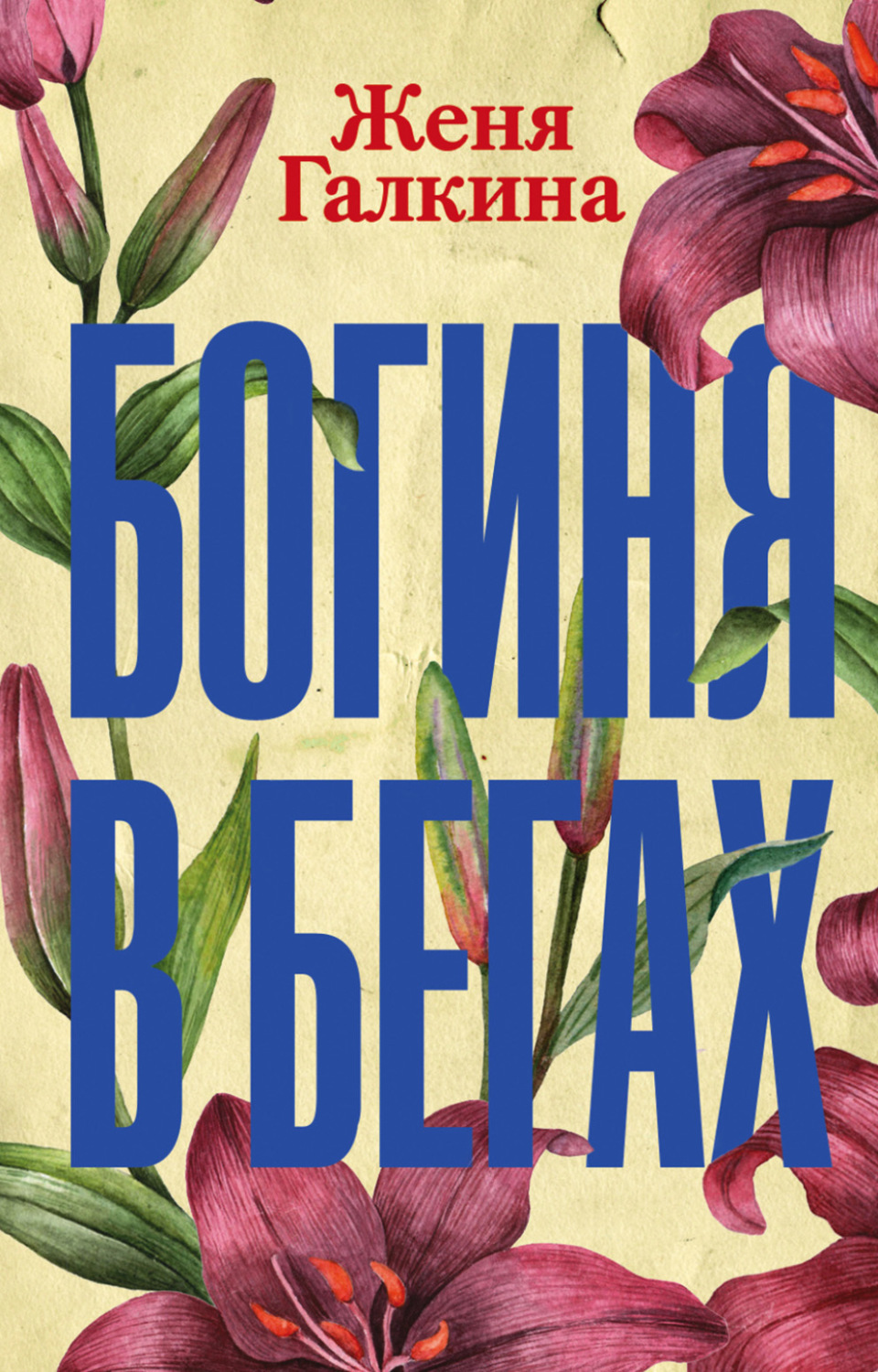 Обложка книги «Богиня в бегах»