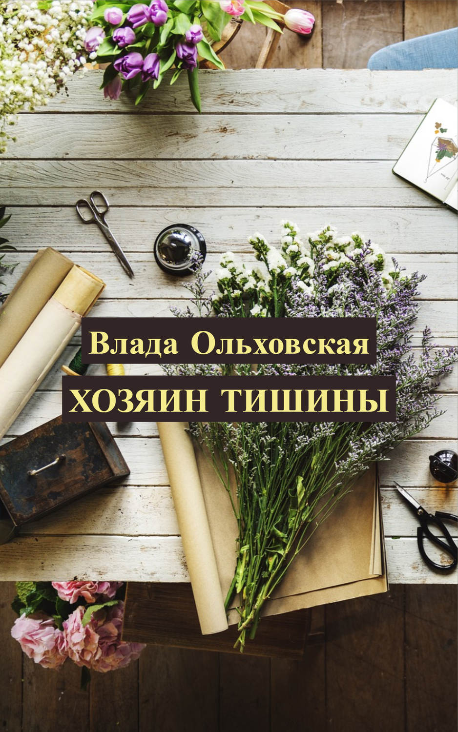 Обложка книги «Хозяин тишины»