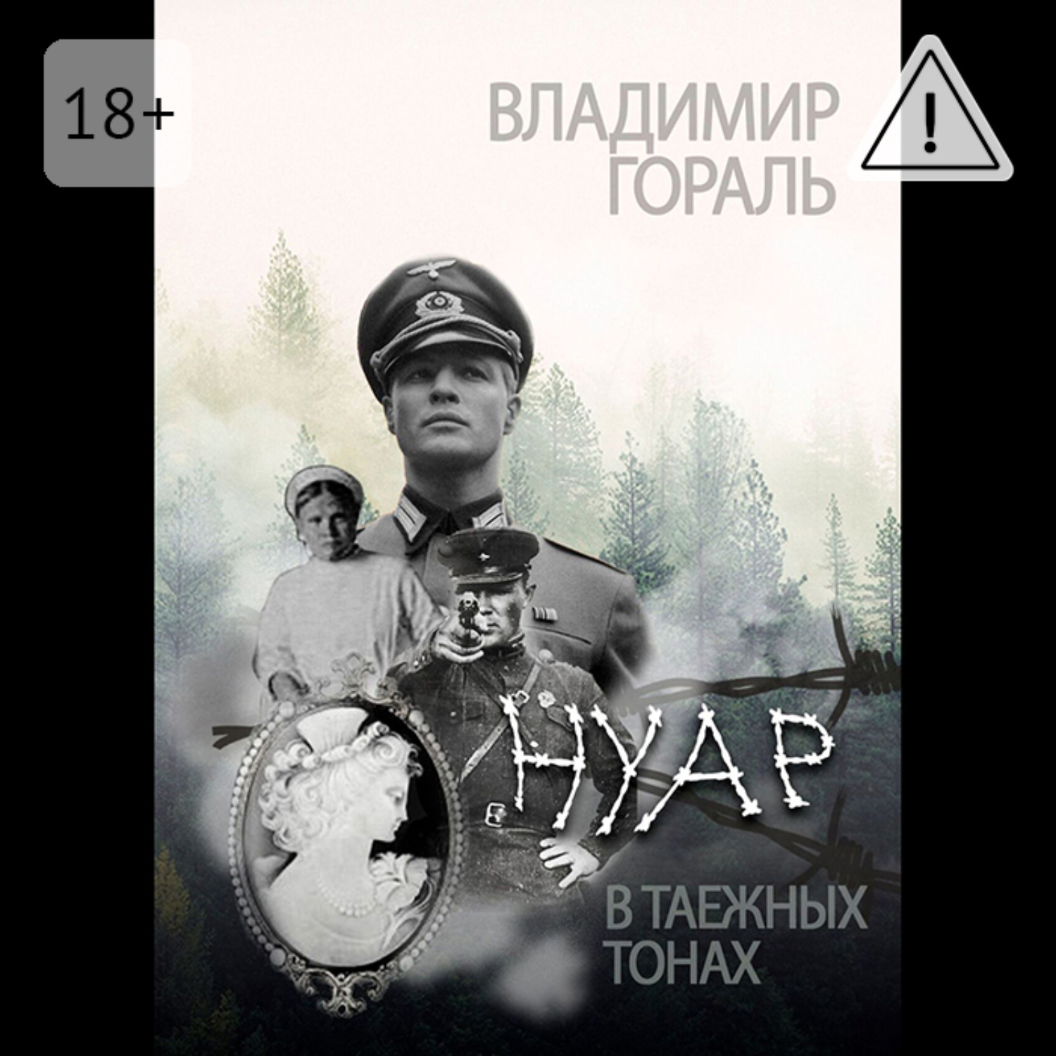 Обложка книги «Нуар в таёжных тонах»