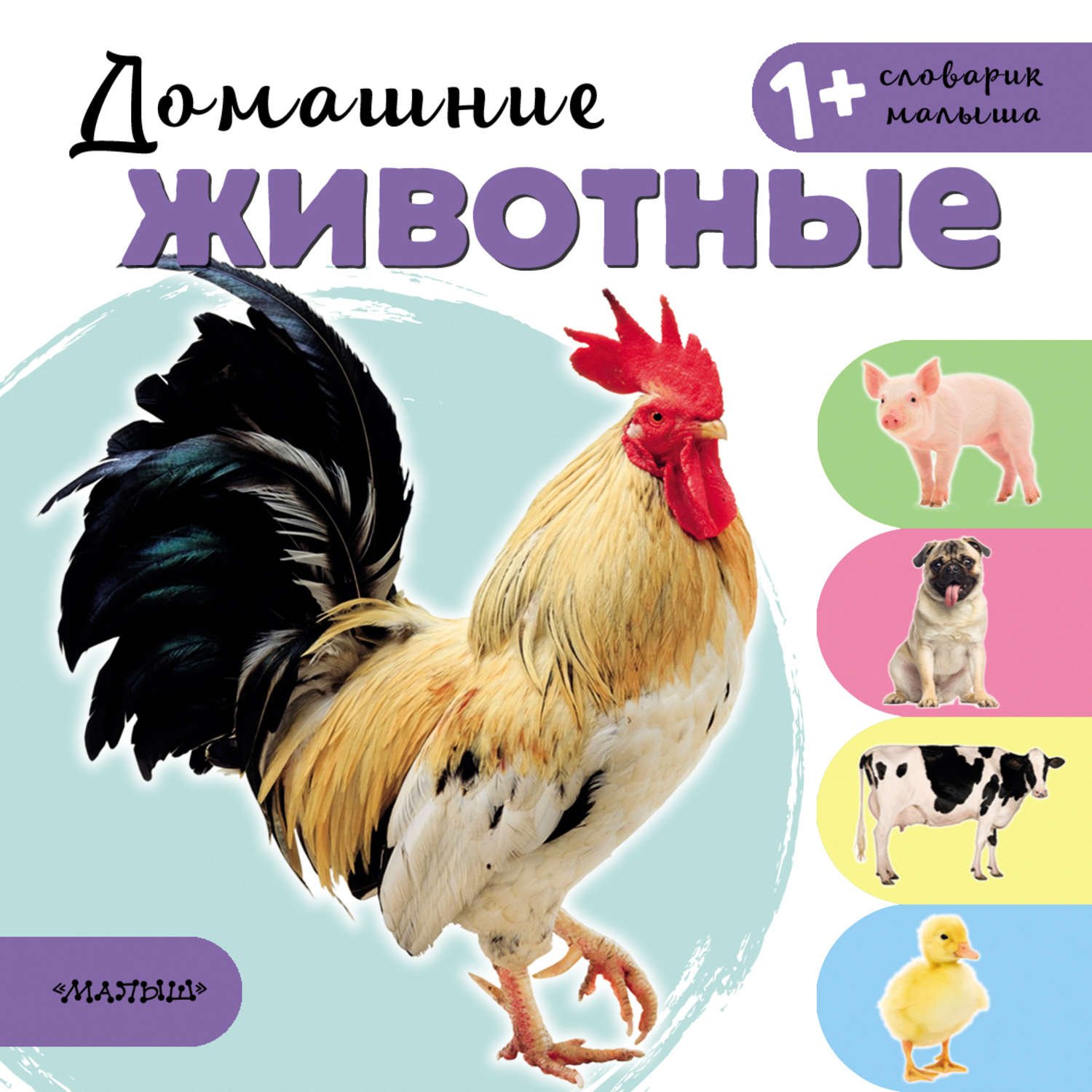 Обложка книги «Домашние животные»