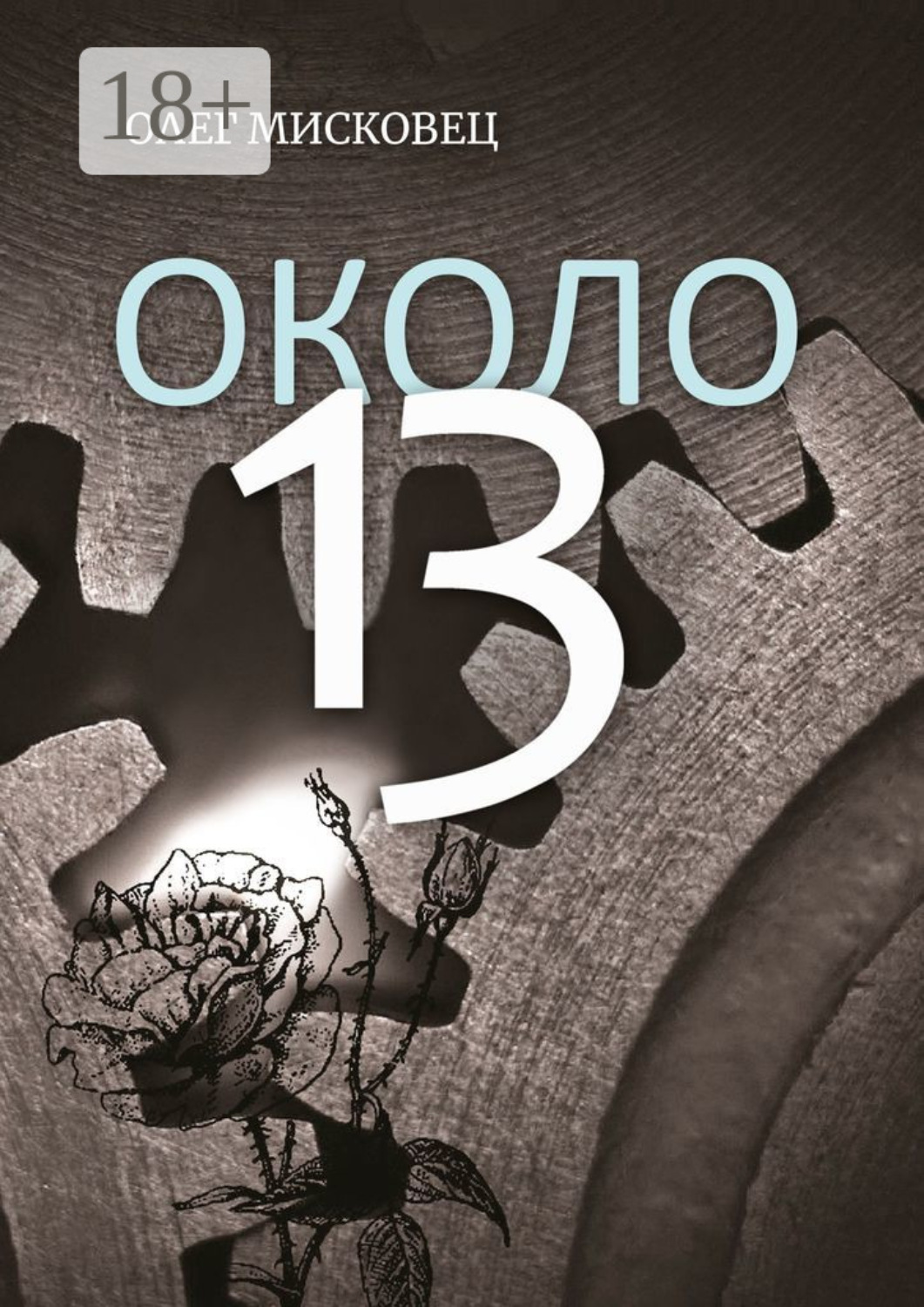 Обложка книги «Около 13»