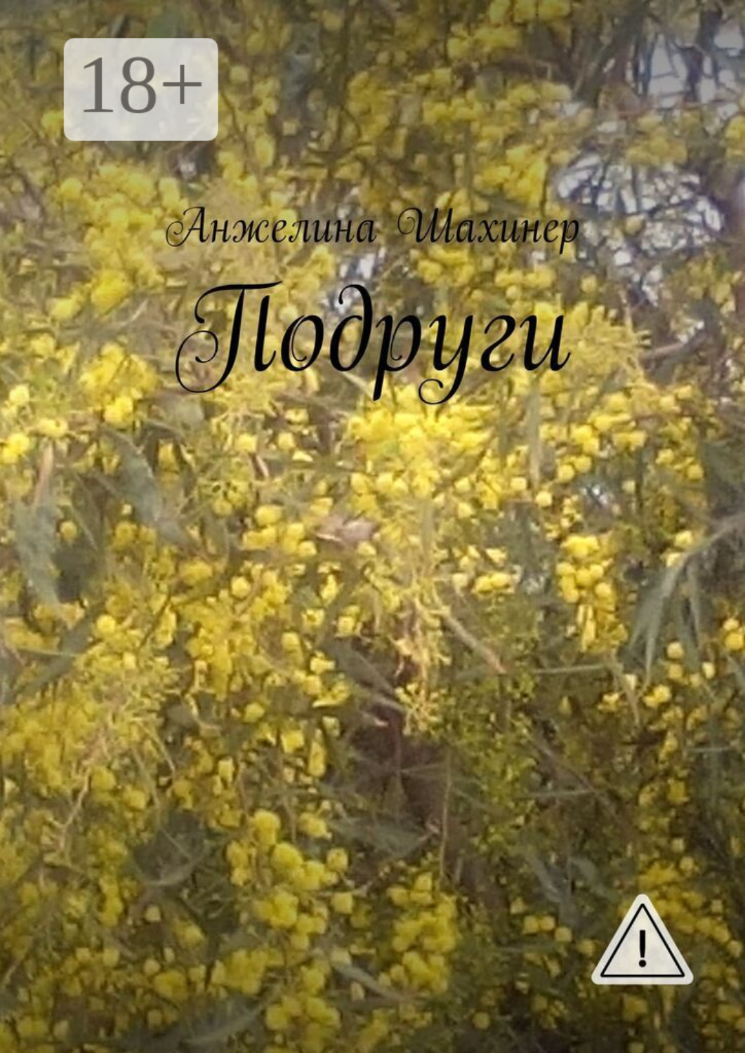 Обложка книги «Подруги»