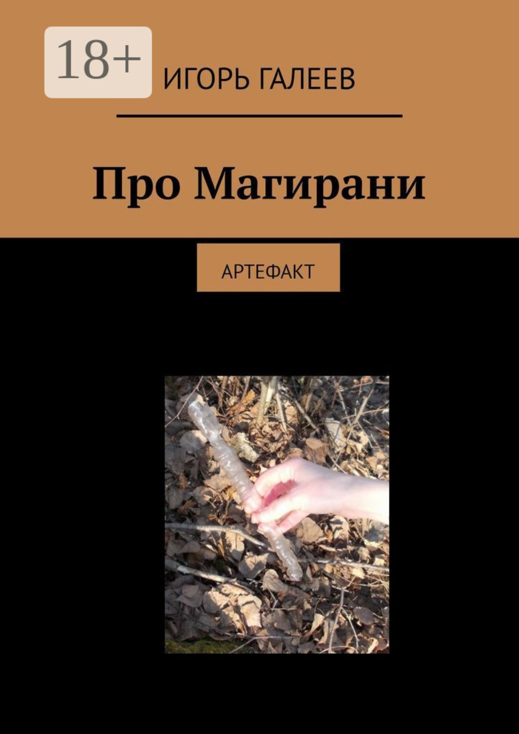 Обложка книги «Про Магирани. Артефакт»