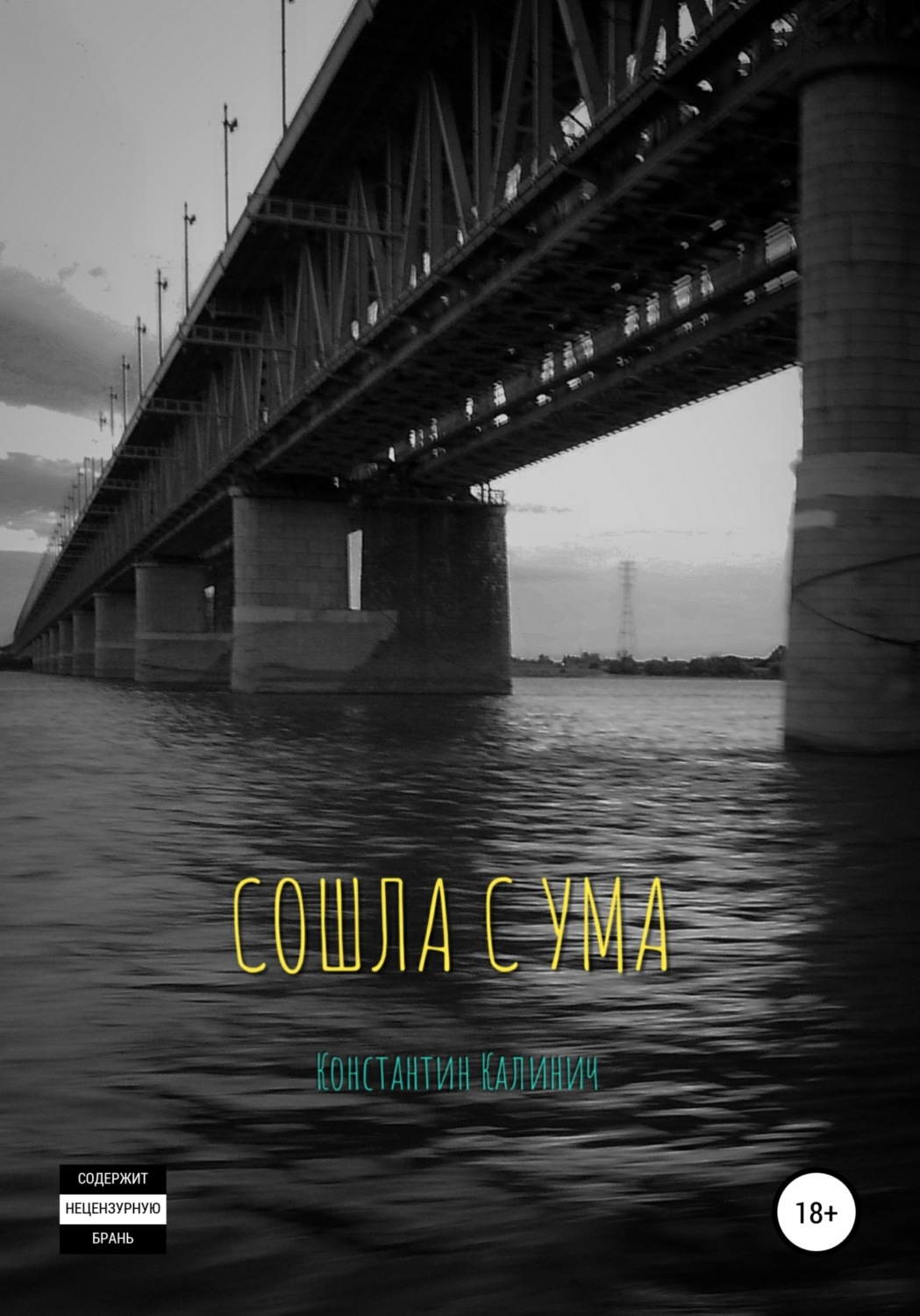 Обложка книги «Сошла с ума»