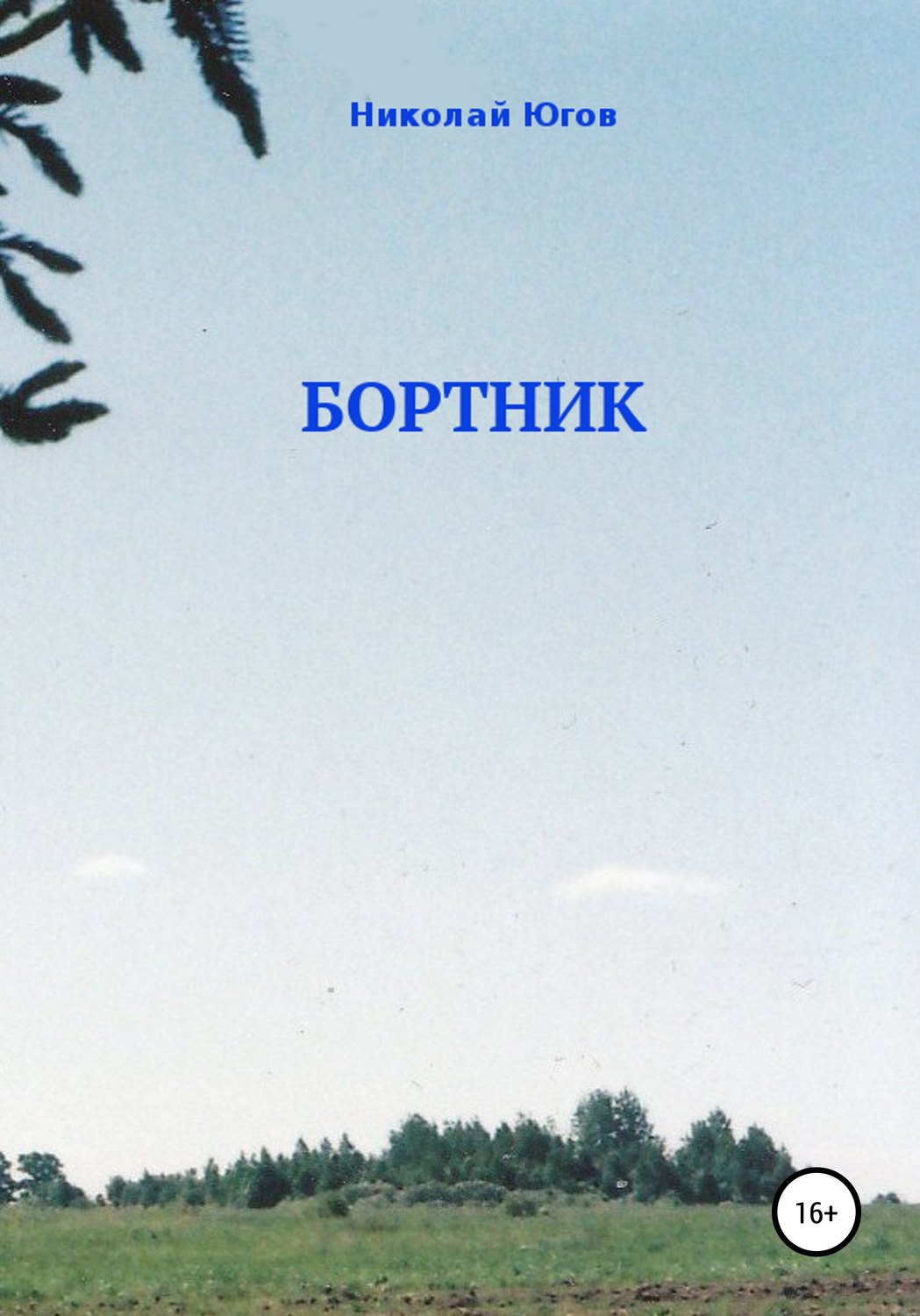 Обложка книги «Бортник»