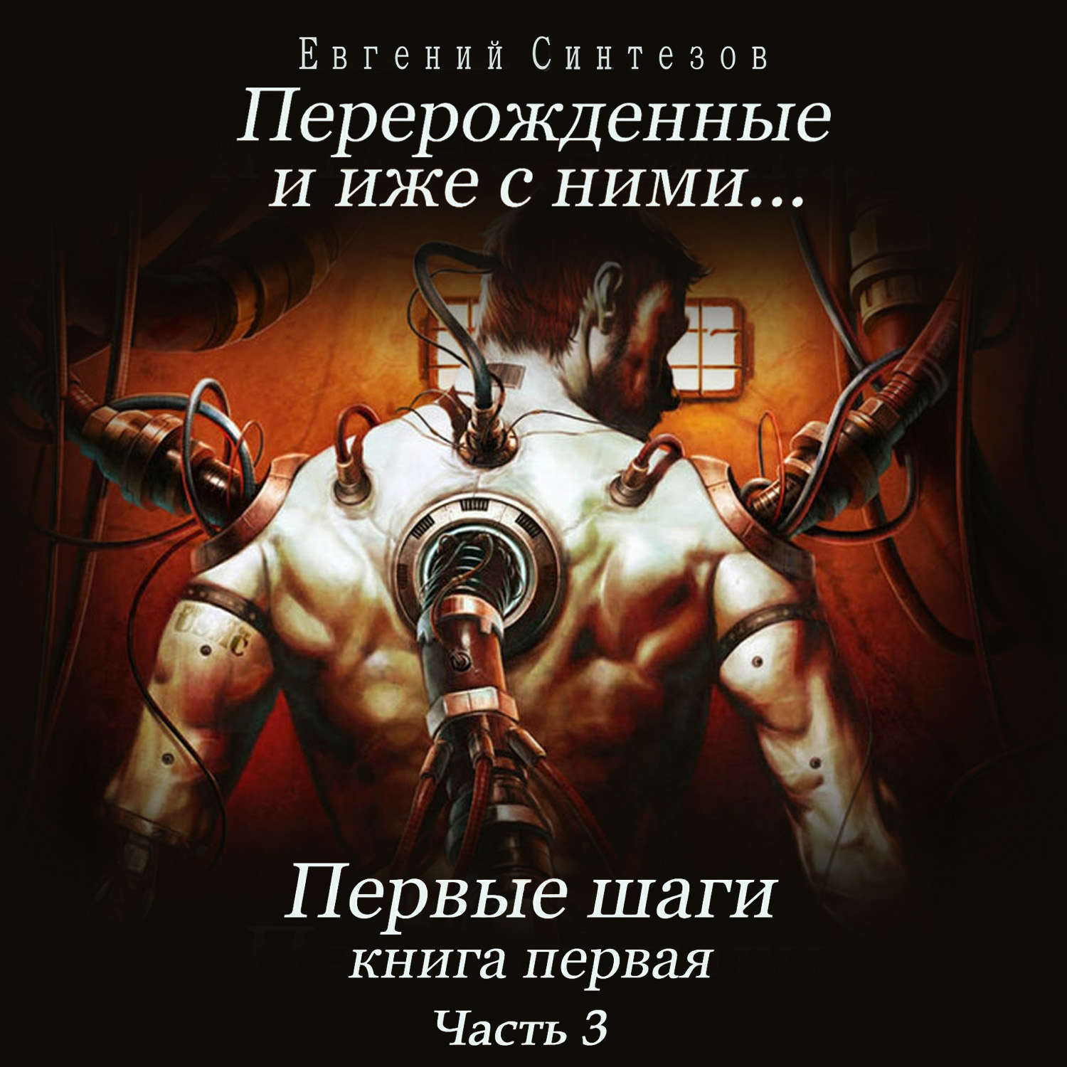 Обложка книги «Перерожденные и иже с ними… Первые шаги. Книга первая. Часть третья»