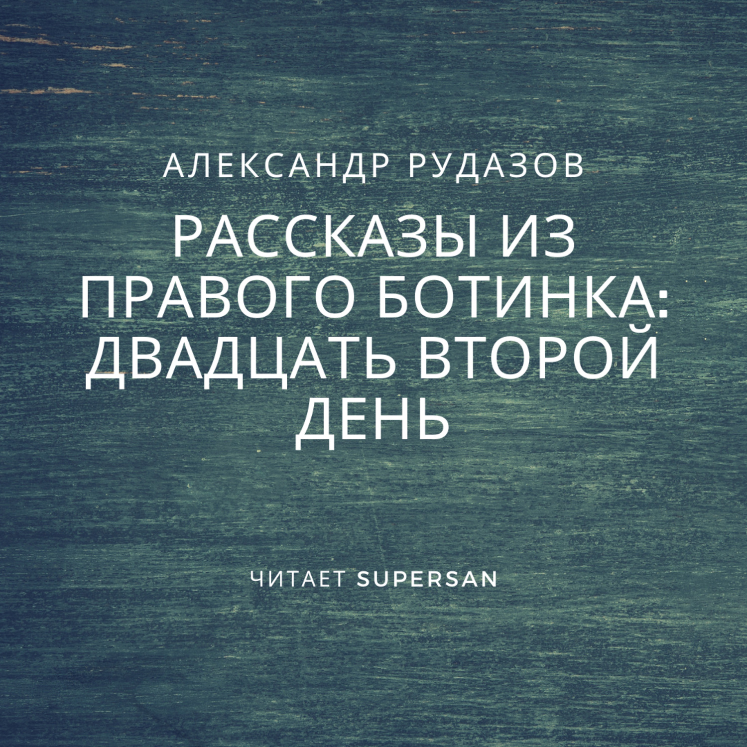 Обложка книги «Двадцать второй день»