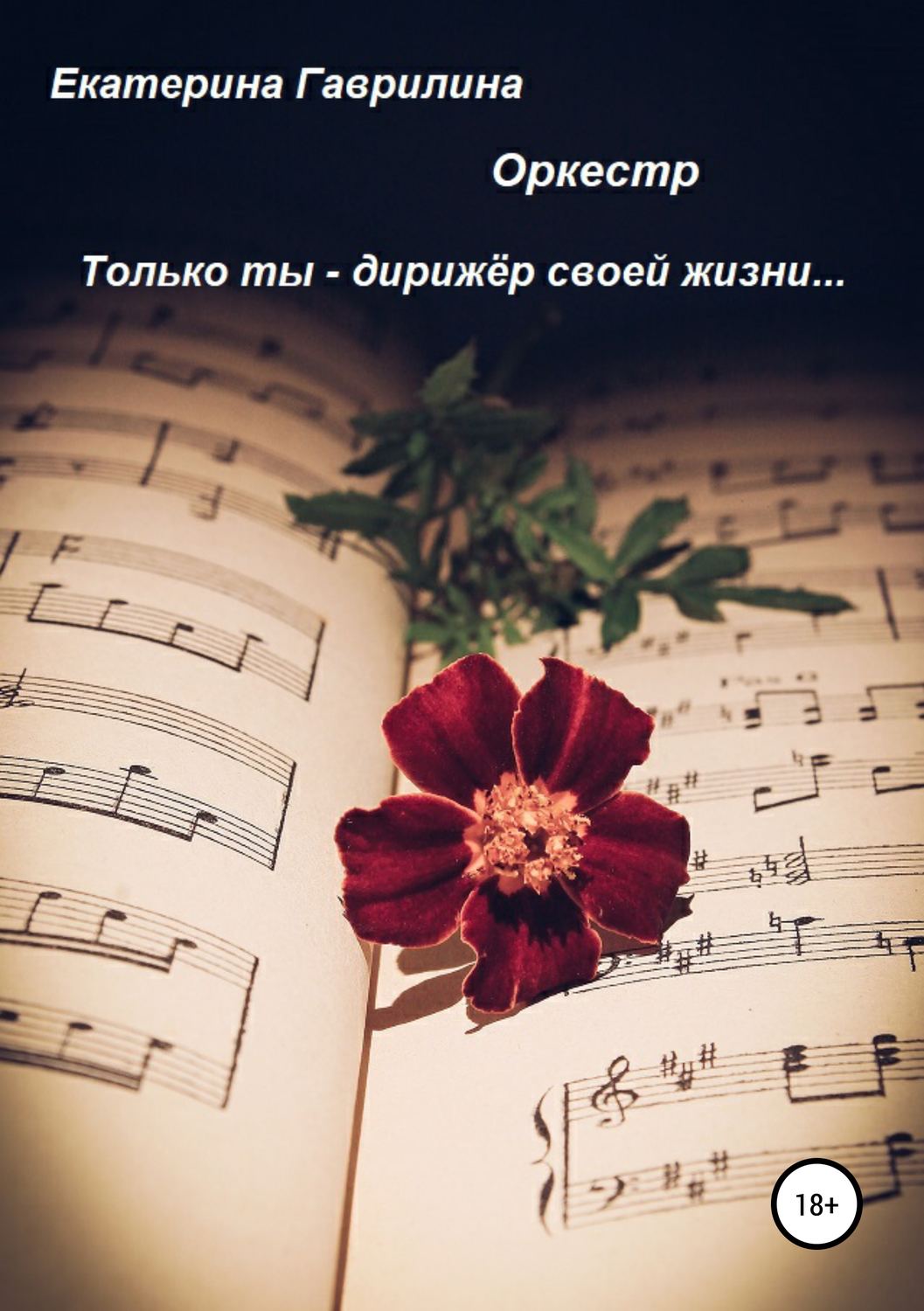 Обложка книги «Оркестр»