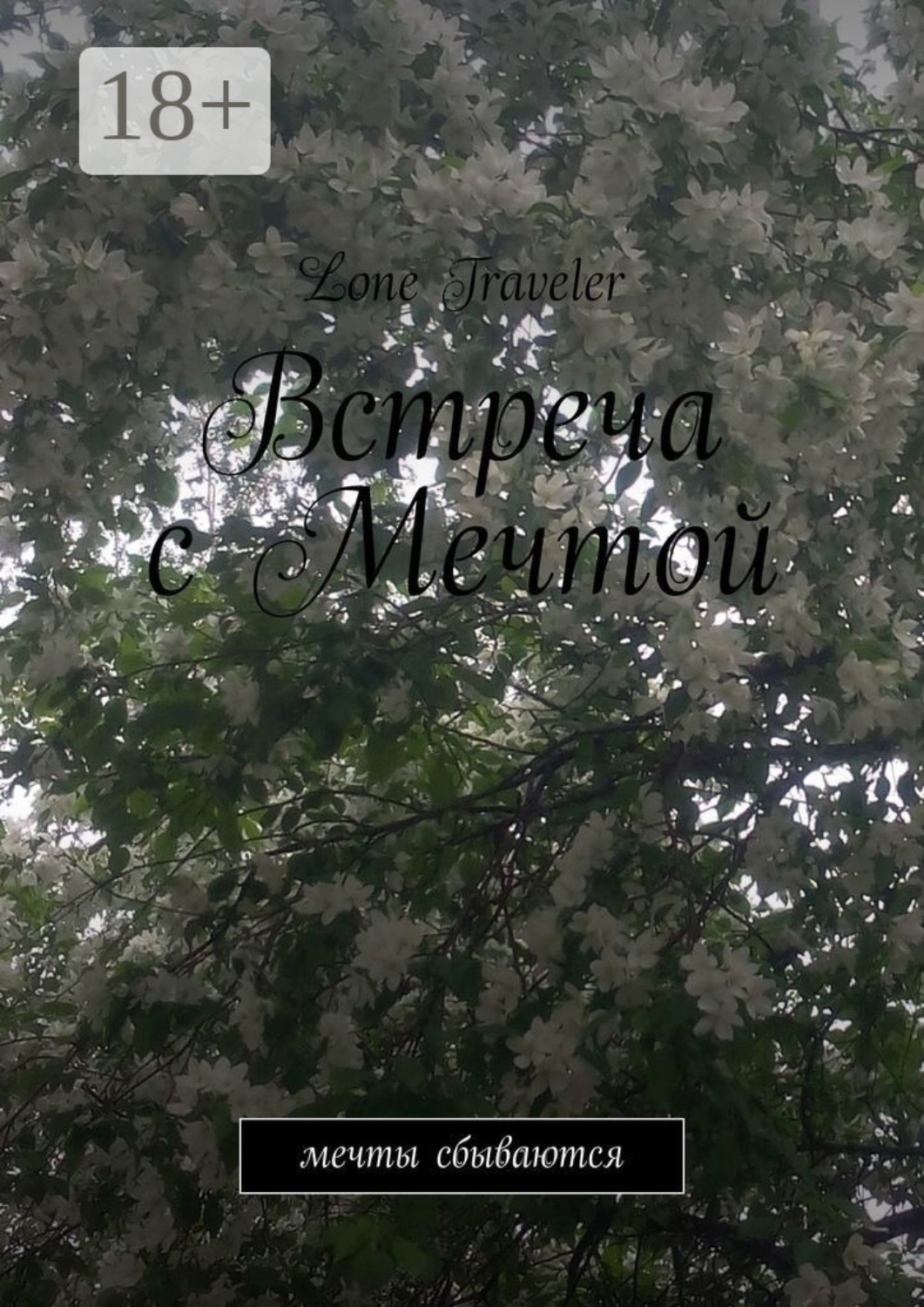 Обложка книги «Встреча с мечтой. Мечты сбываются»