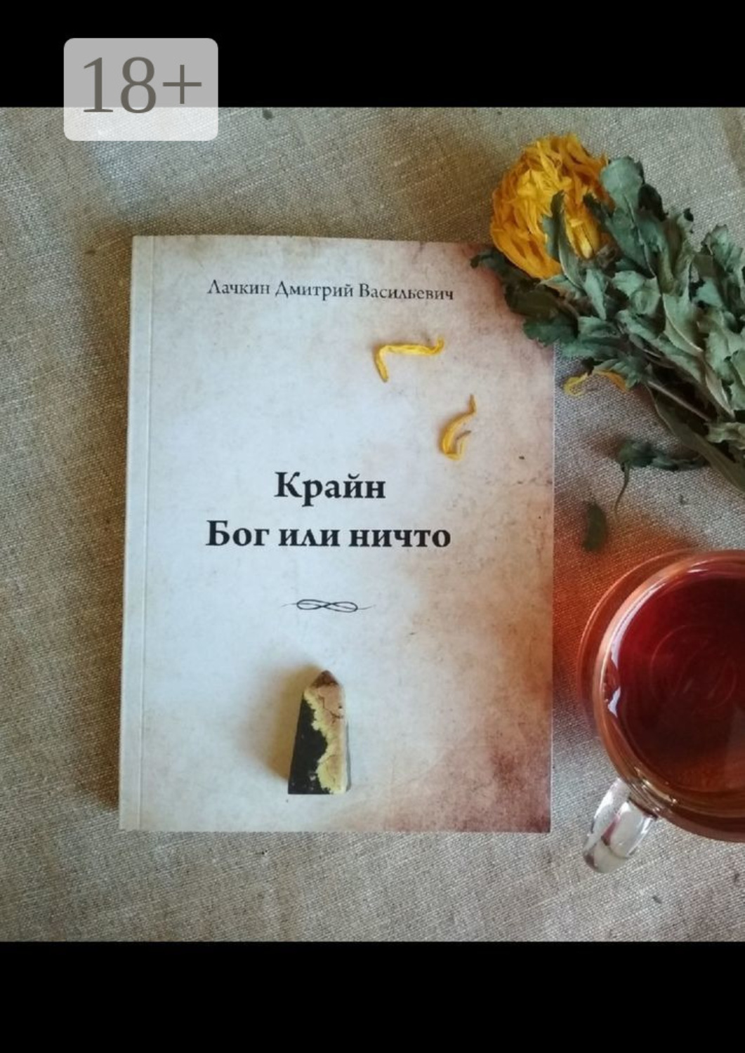 Обложка книги «Крайн. Бог или ничто»