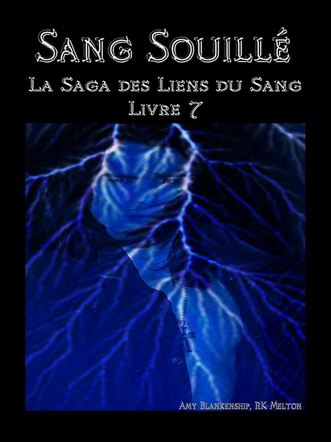 Обложка книги «Sang Souillé»