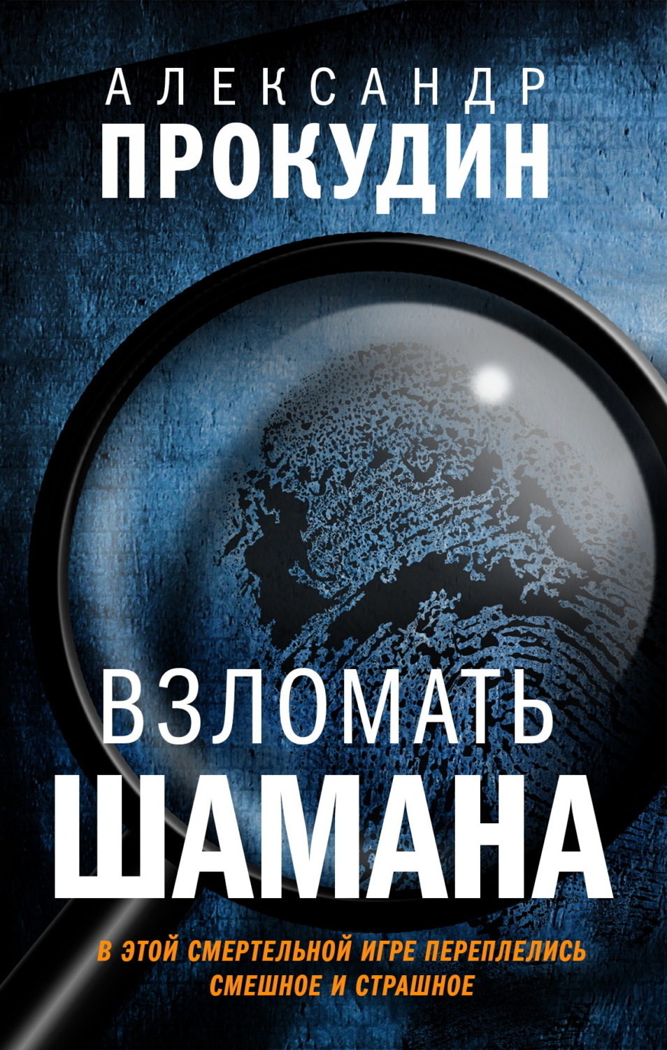 Обложка книги «Взломать Шамана»