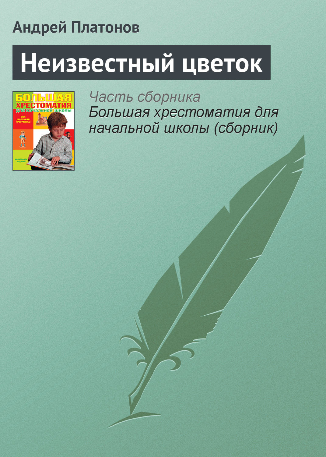 Обложка книги «Неизвестный цветок»