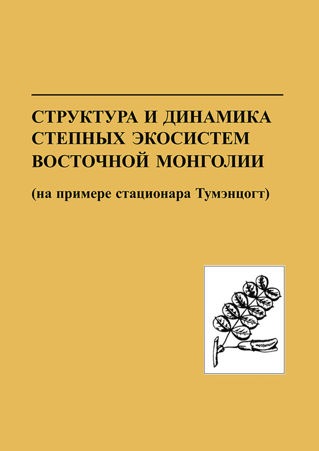 Обложка книги «Структура и динамика степных экосистем Восточной Монголии (на примере стационара Тумэнцогт)»
