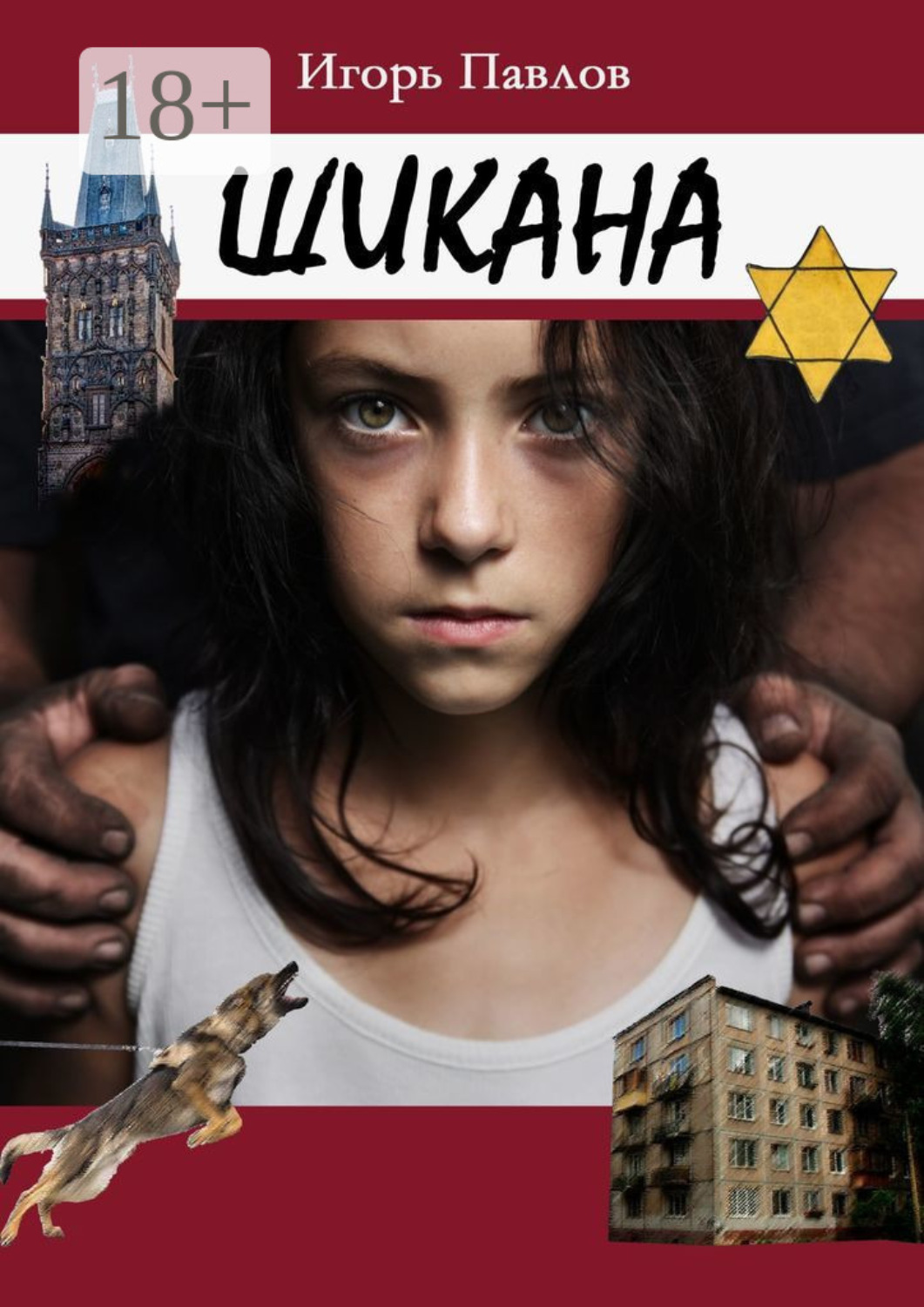 Обложка книги «Шикана»