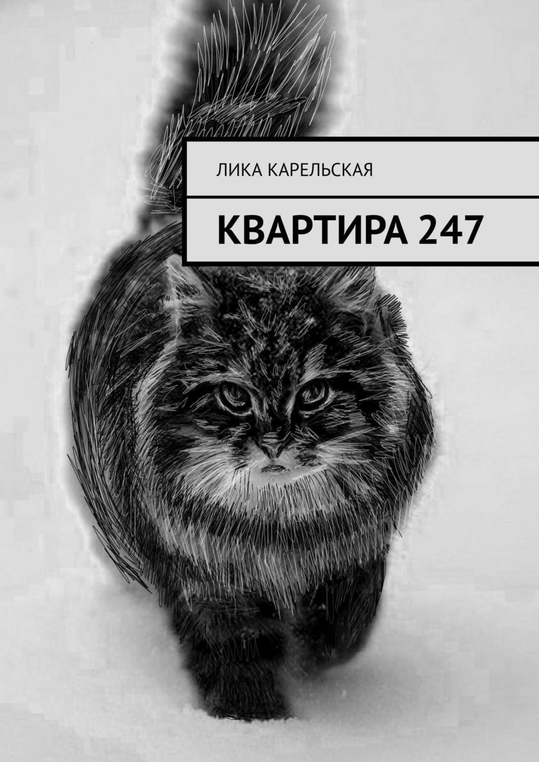 Обложка книги «Квартира 247»