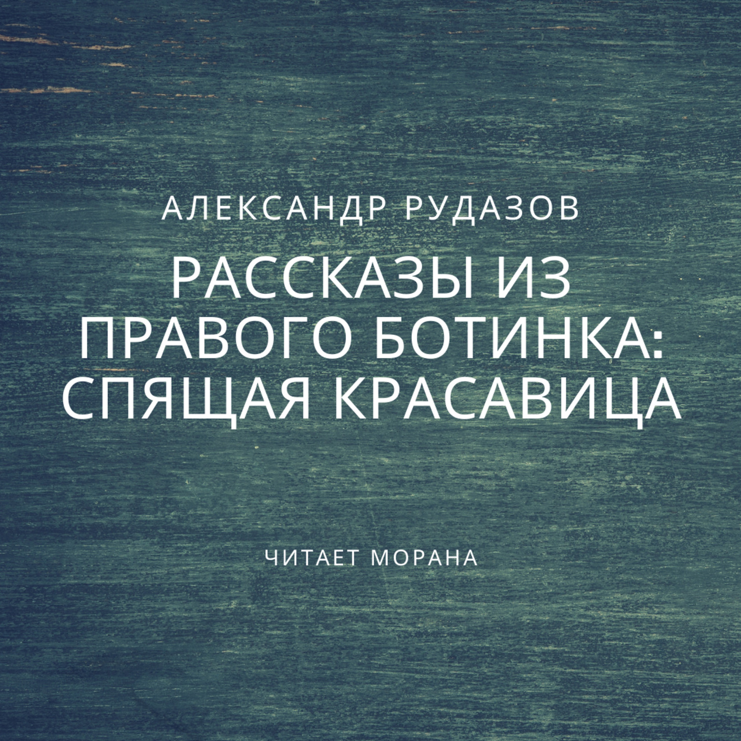 Обложка книги «Спящая красавица»