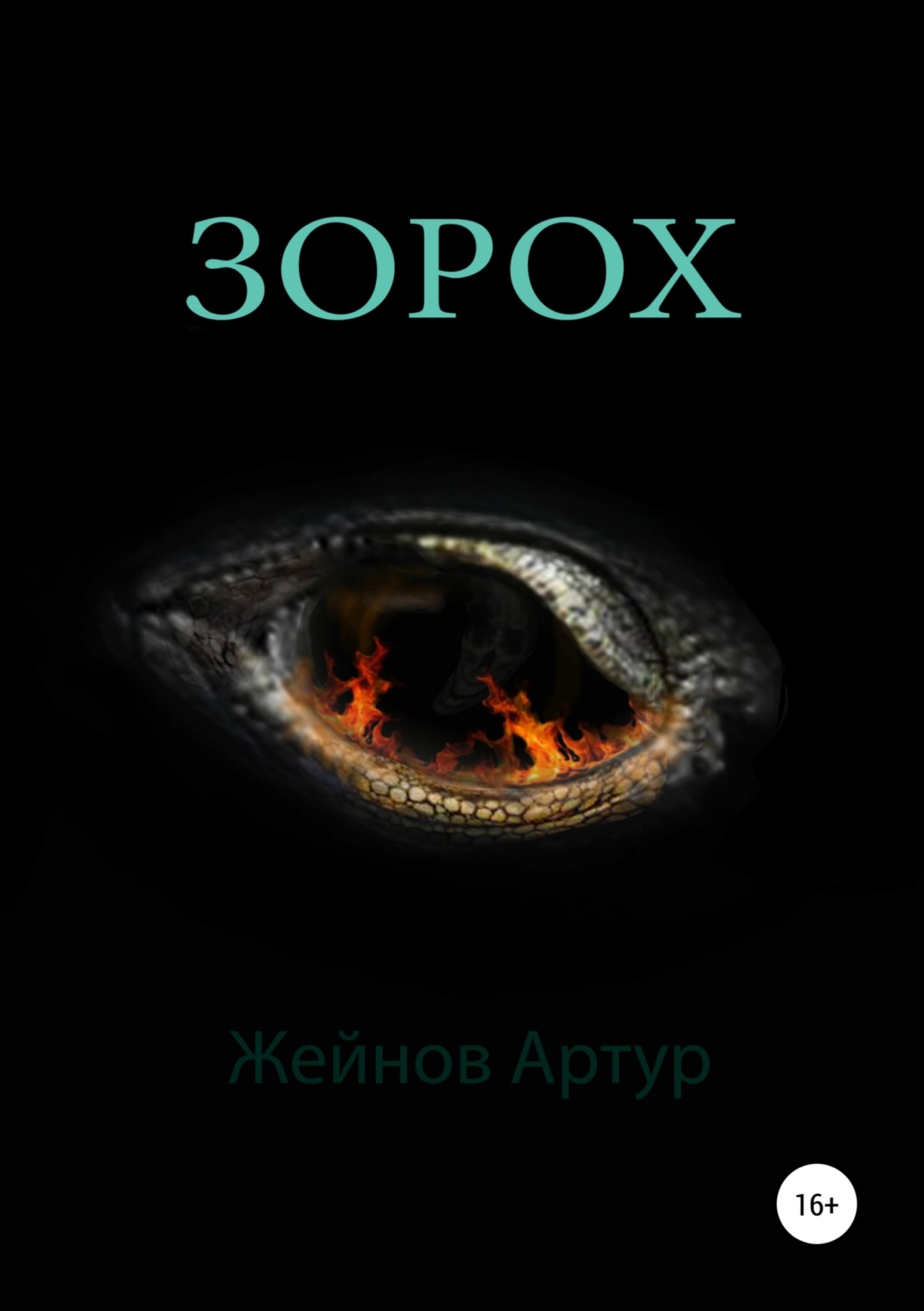 Обложка книги «Зорох»