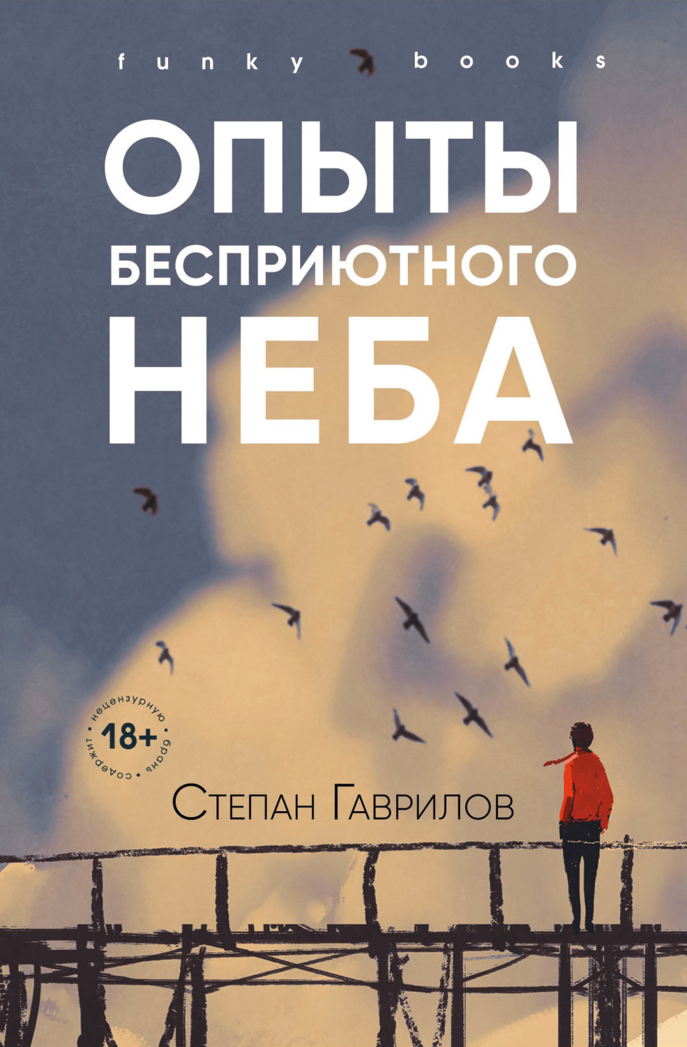Обложка книги «Опыты бесприютного неба»