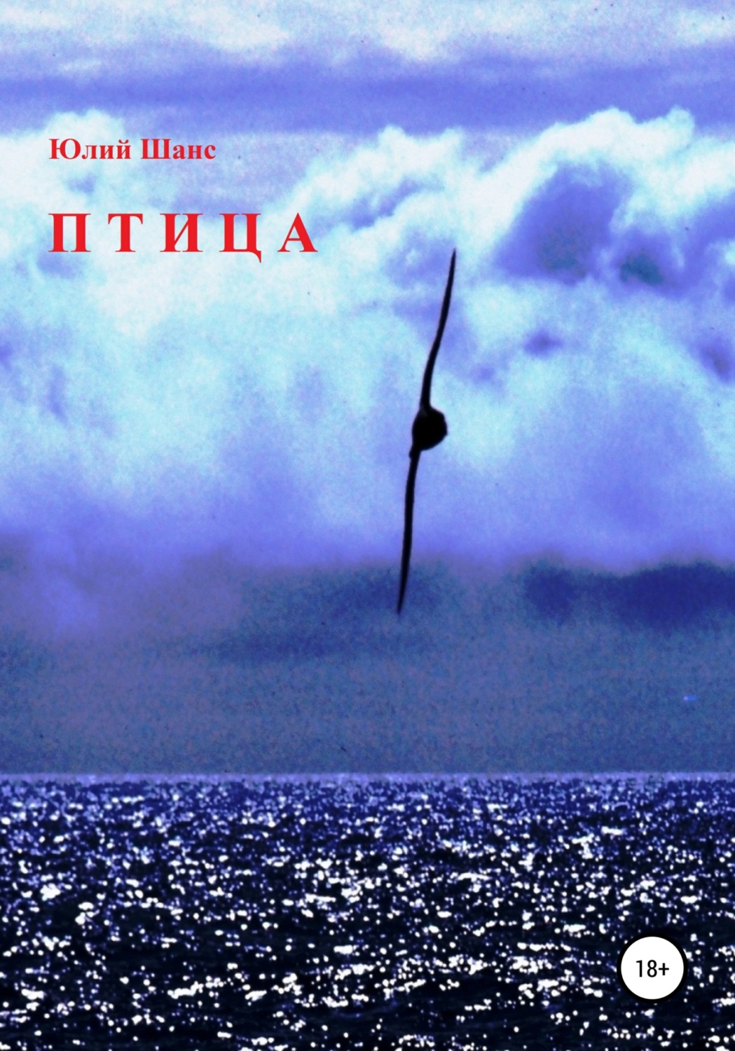 Обложка книги «Птица»