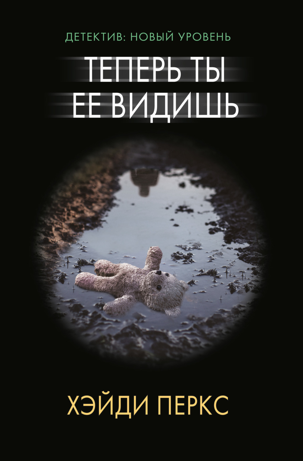 Обложка книги «Теперь ты ее видишь»
