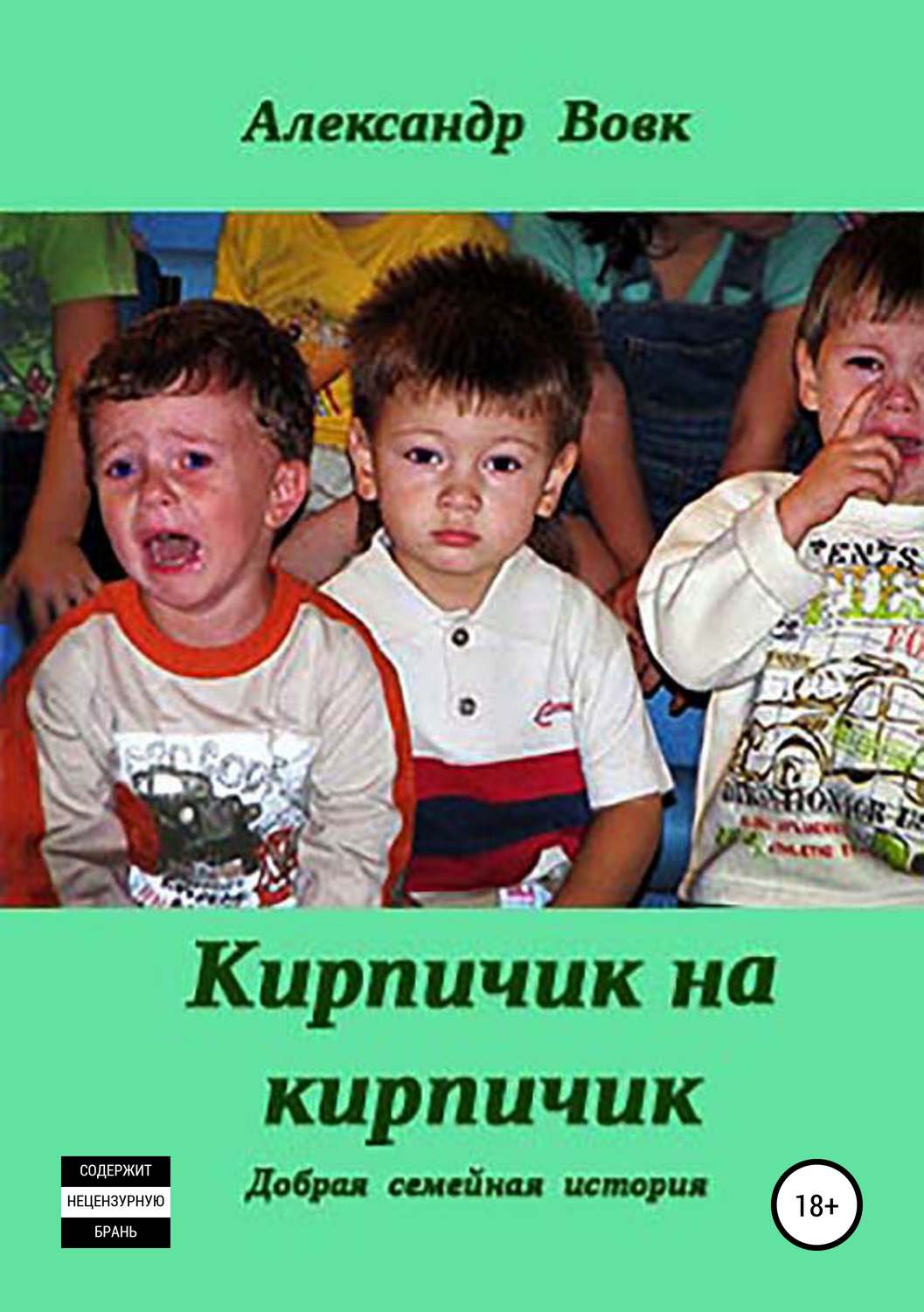 Обложка книги «Кирпичик на кирпичик»