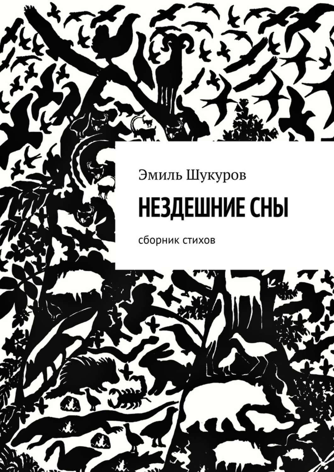 Обложка книги «Нездешние сны. Сборник стихов»