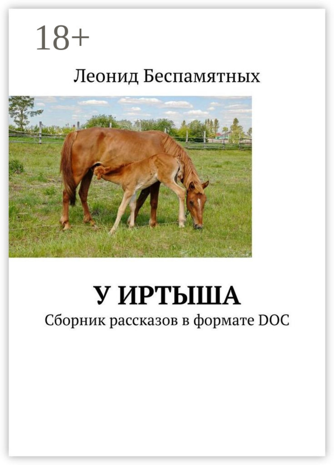 Обложка книги «У Иртыша. Сборник рассказов в формате DOC»
